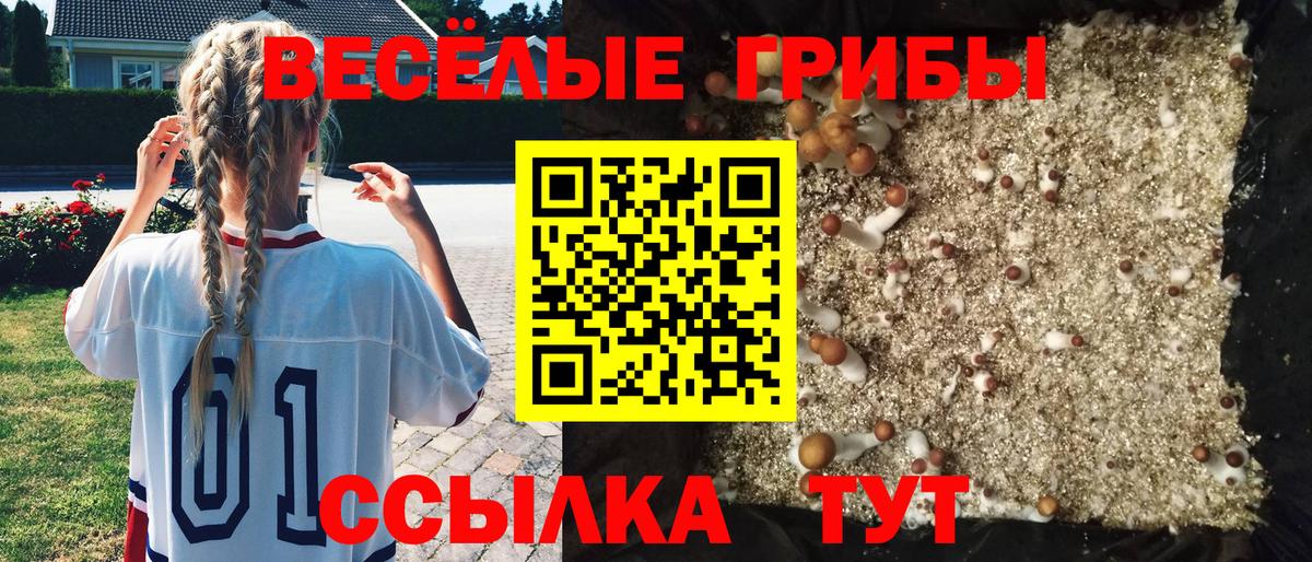 Галлюциногенные грибы мухоморы  Вход с VPN  Красногорск 