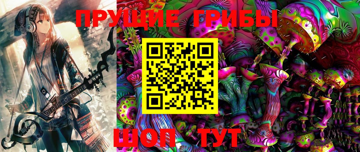 Псилоцибиновые грибы Cubensis Красногорск